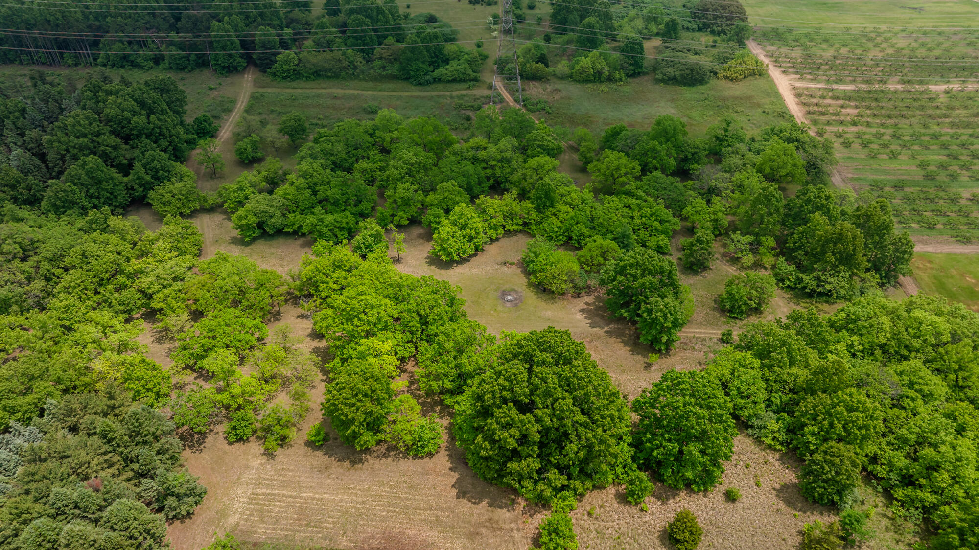 2900 Boyer Road Coloma, MI 49038 - Photo 86 of 95 Boyer-198