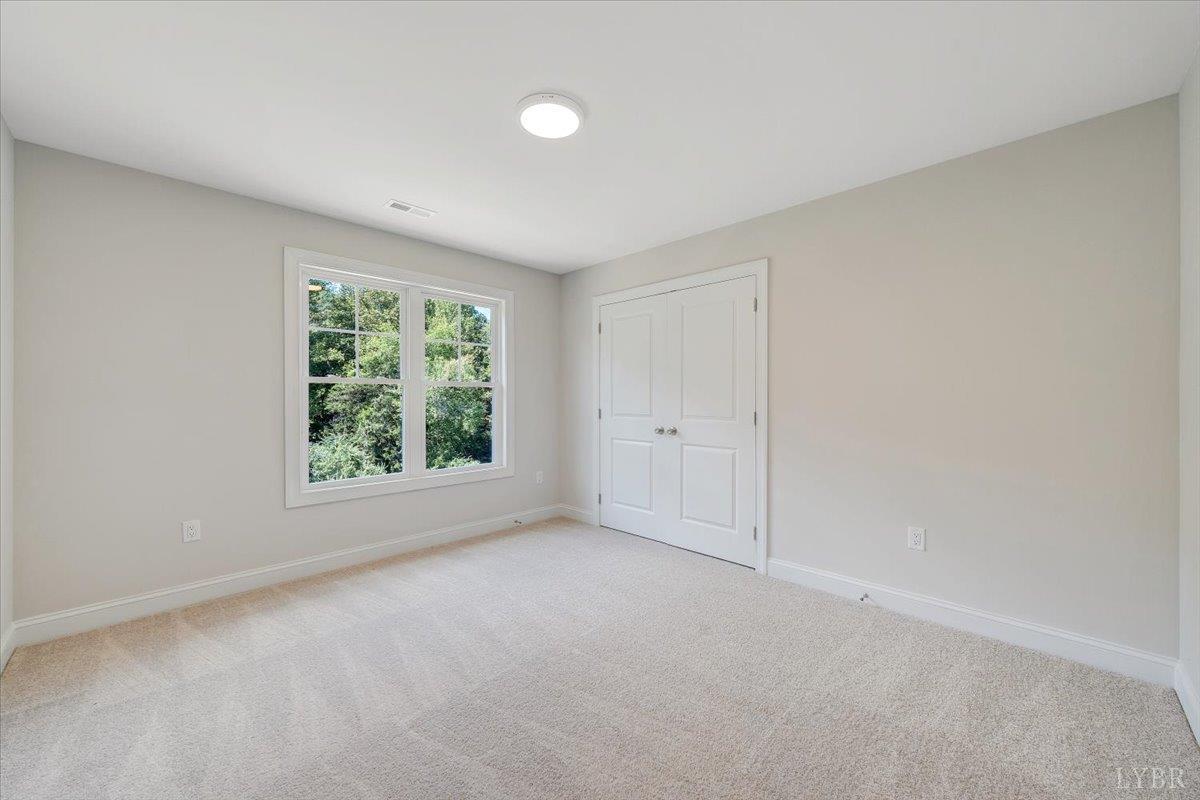 1053 Snowfield Circle Lynchburg, VA 24503 - Photo 19 of 29 an empty room with windows