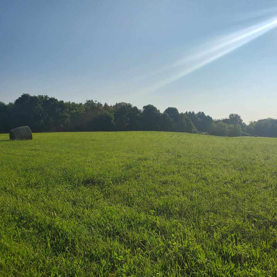 a view of an mountain and a field