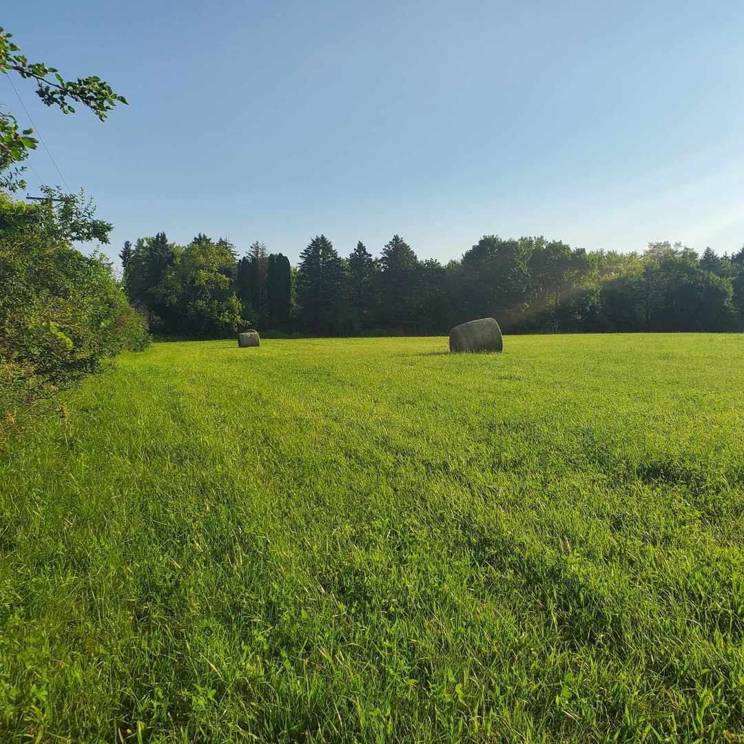 0 Harvard Hills Road Harvard, IL 60033 - Photo 2 of 3