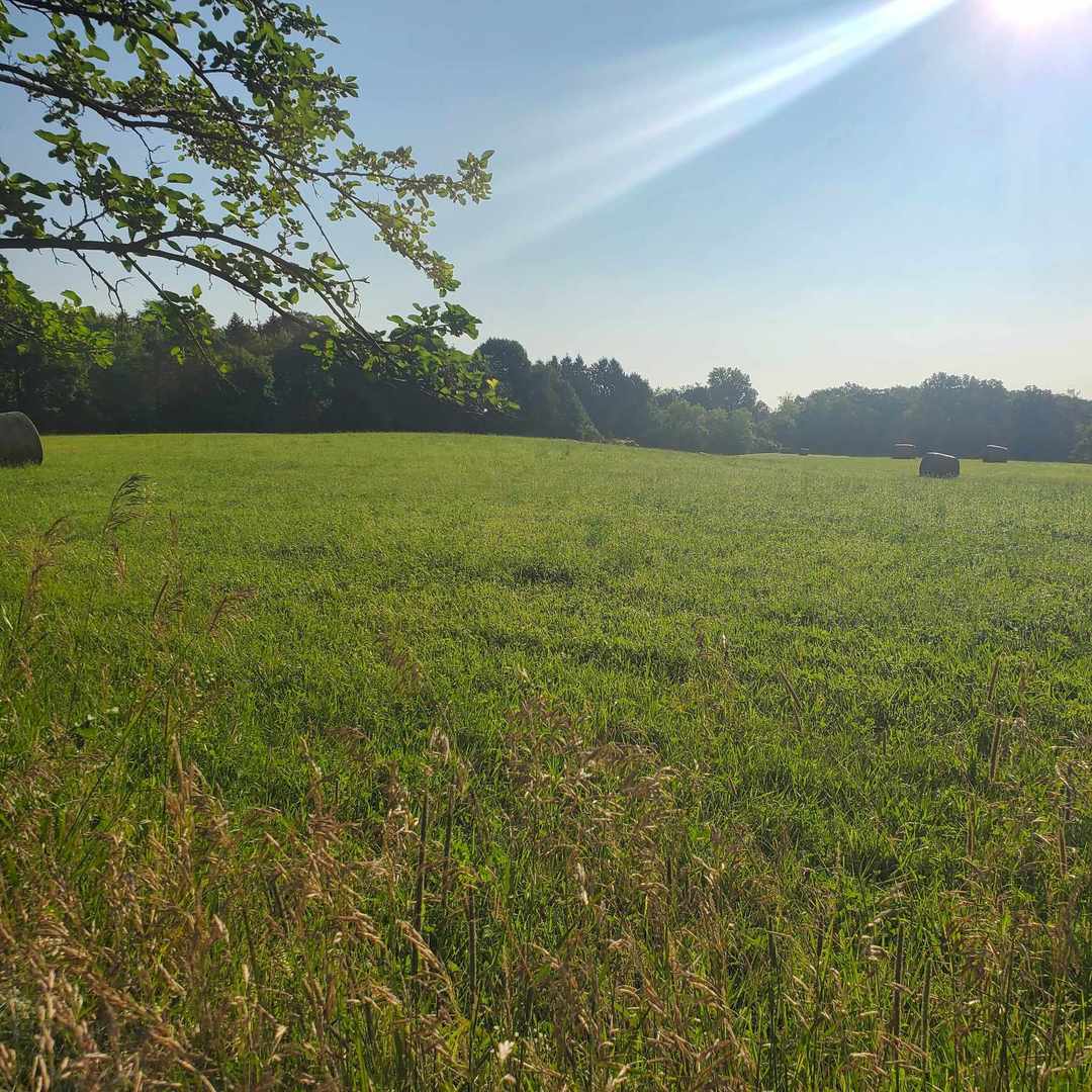 0 Harvard Hills Road Harvard, IL 60033 - Photo 3 of 3 a view of lake with mountain in the back
