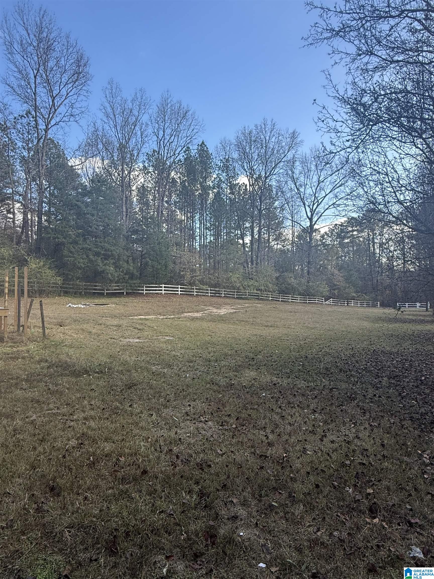 225 Highway 332 Pelham Al Pelham, AL 35124 - Photo 1 of 5