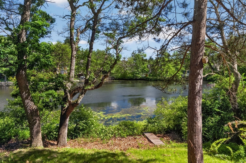 30 R Morses Pond Road Wellesley, MA 01760 - Photo 20 of 23
