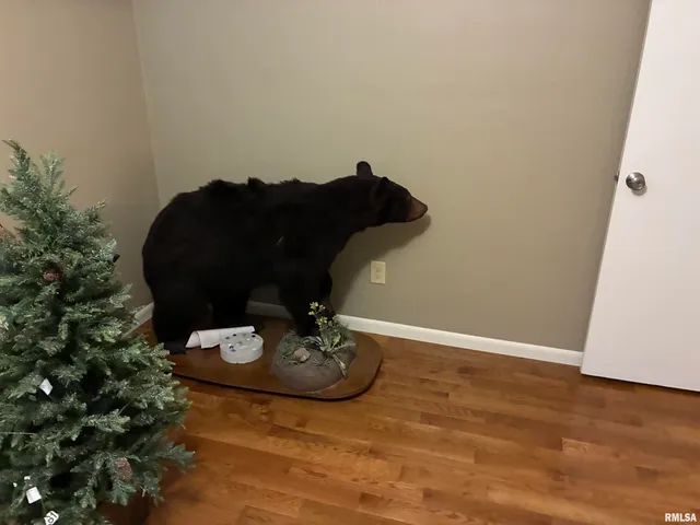 $274,000 | 16312 North Hawthorne Lane, Mount Vernon, IL 62864