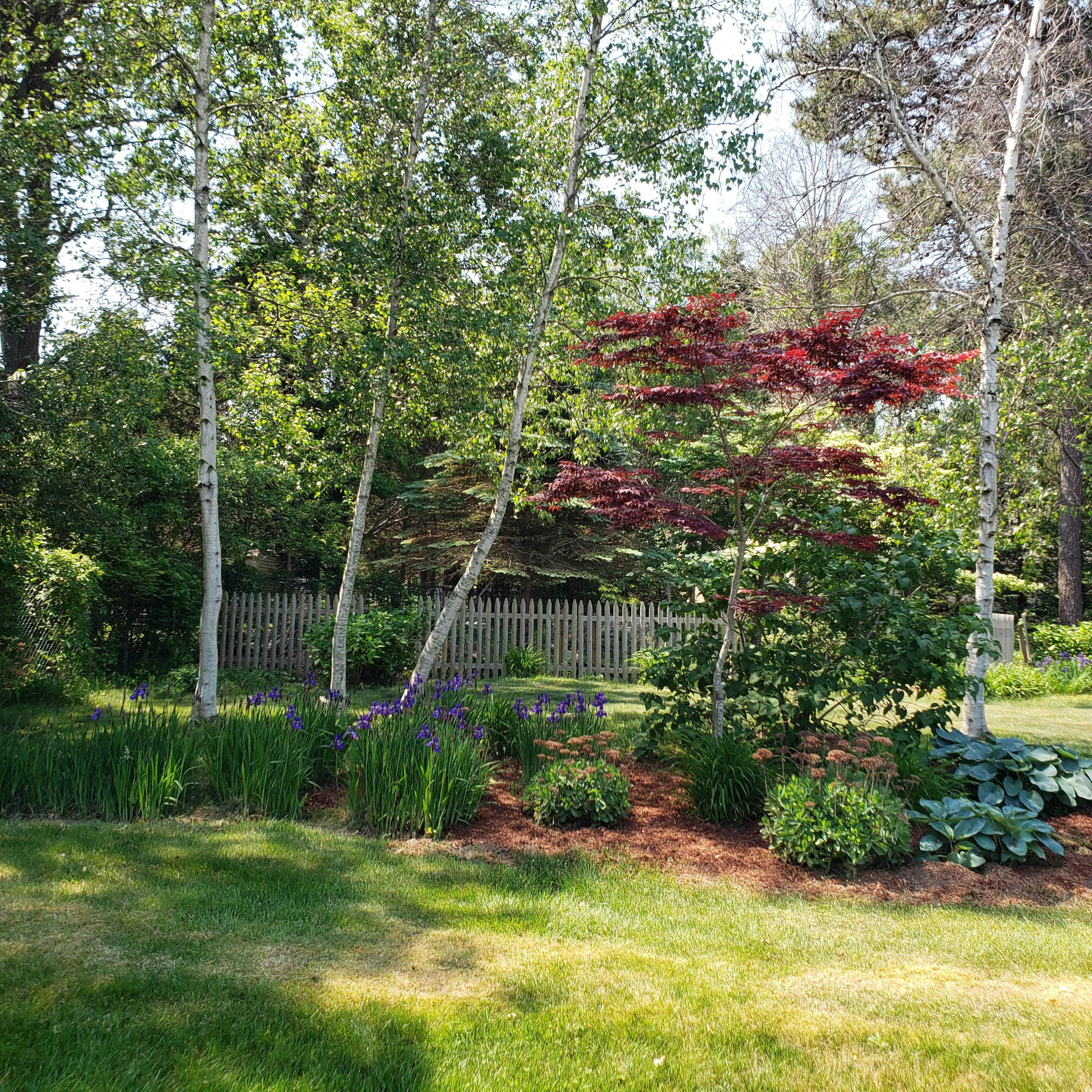 14 Captain Kidd Road East Sandwich, MA 02537 - Photo 21 of 29 a view of a garden
