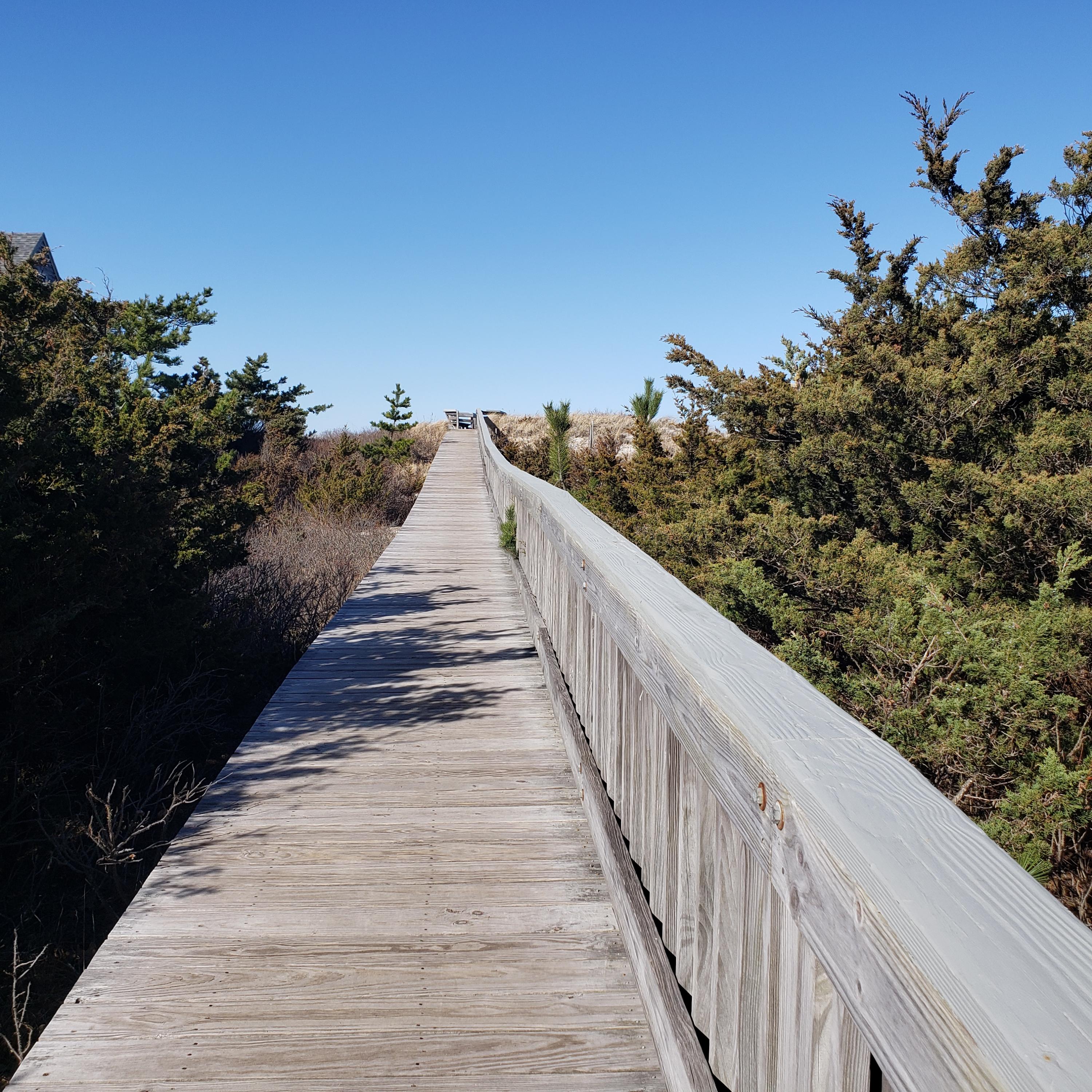 14 Captain Kidd Road East Sandwich, MA 02537 - Photo 26 of 29 a view of balcony and yard
