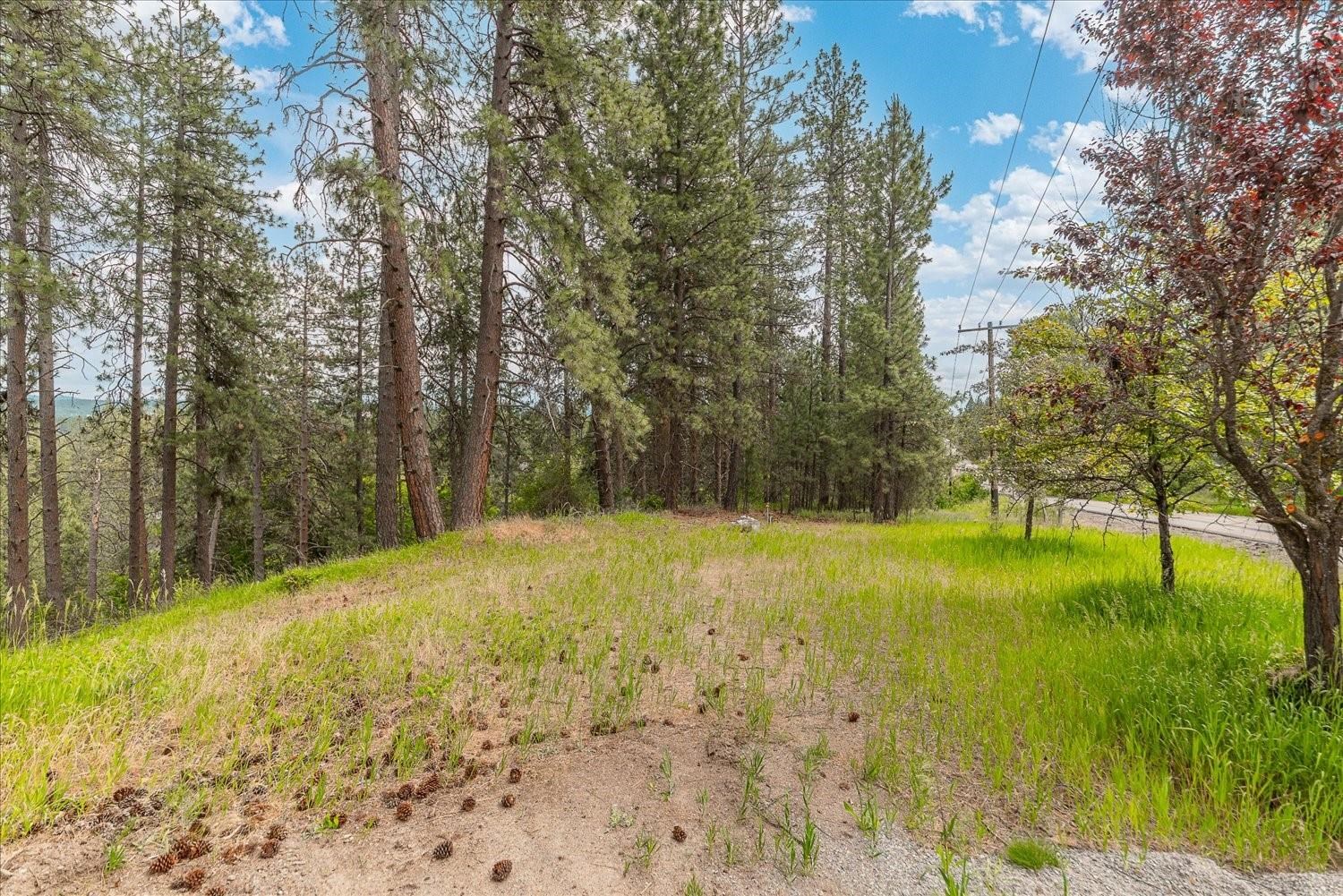 23214 North Perry Road Colbert, WA 99005 - Photo 42 of 50