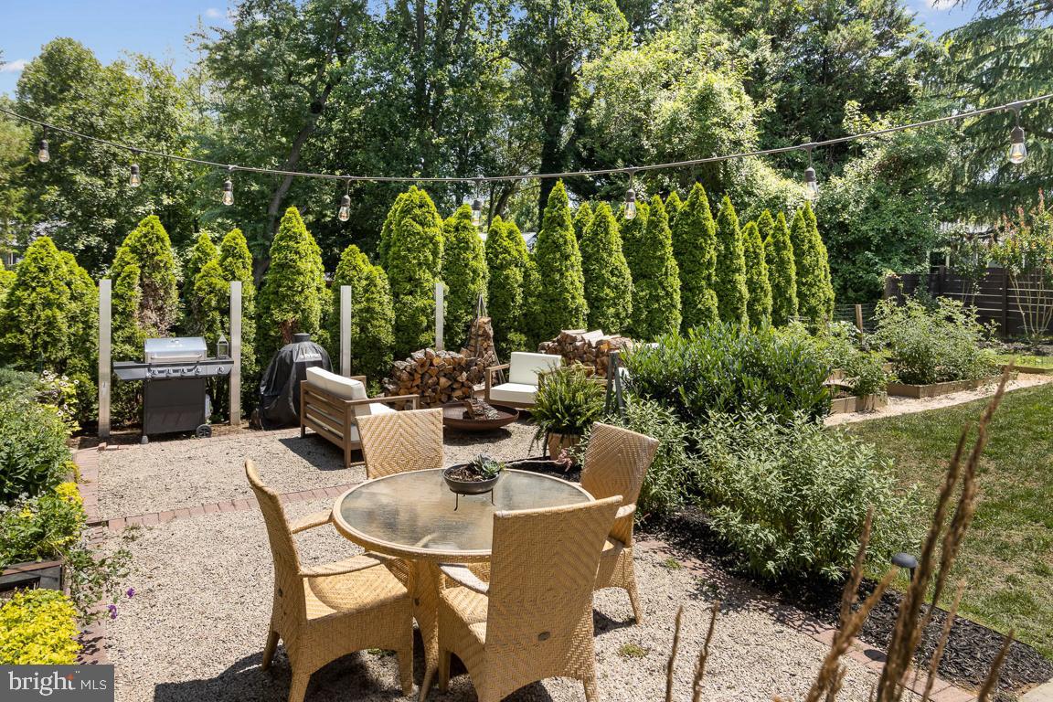 23 Goodrich Road Annapolis, MD 21401 - Photo 36 of 80 Tuscan-Style Tree Border for Privacy