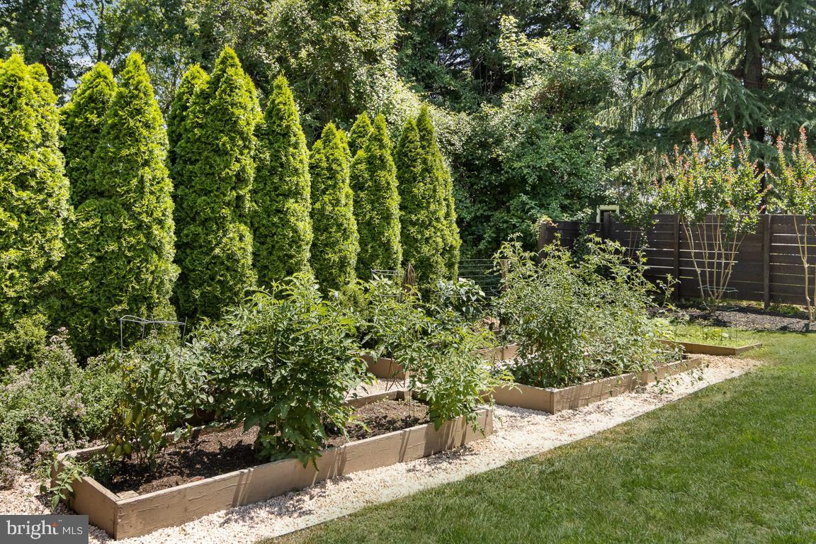 23 Goodrich Road Annapolis, MD 21401 - Photo 38 of 80 Ready-Built Beds for Bountiful Vegetables!