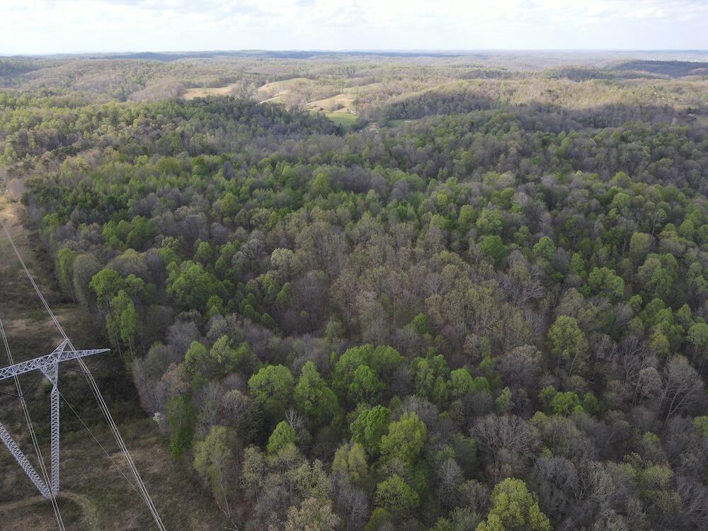 0 Pyle Road Lucasville, OH 45648 - Photo 15 of 26 pic 18
