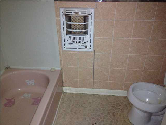 241 Turner Chapel Road Raleigh, MS 39153 - Photo 17 of 24 Bathroom #1