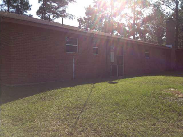 241 Turner Chapel Road Raleigh, MS 39153 - Photo 5 of 24 Left Back Side of House