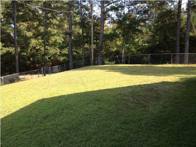 241 Turner Chapel Road Raleigh, MS 39153 - Photo 7 of 24 Back Yard