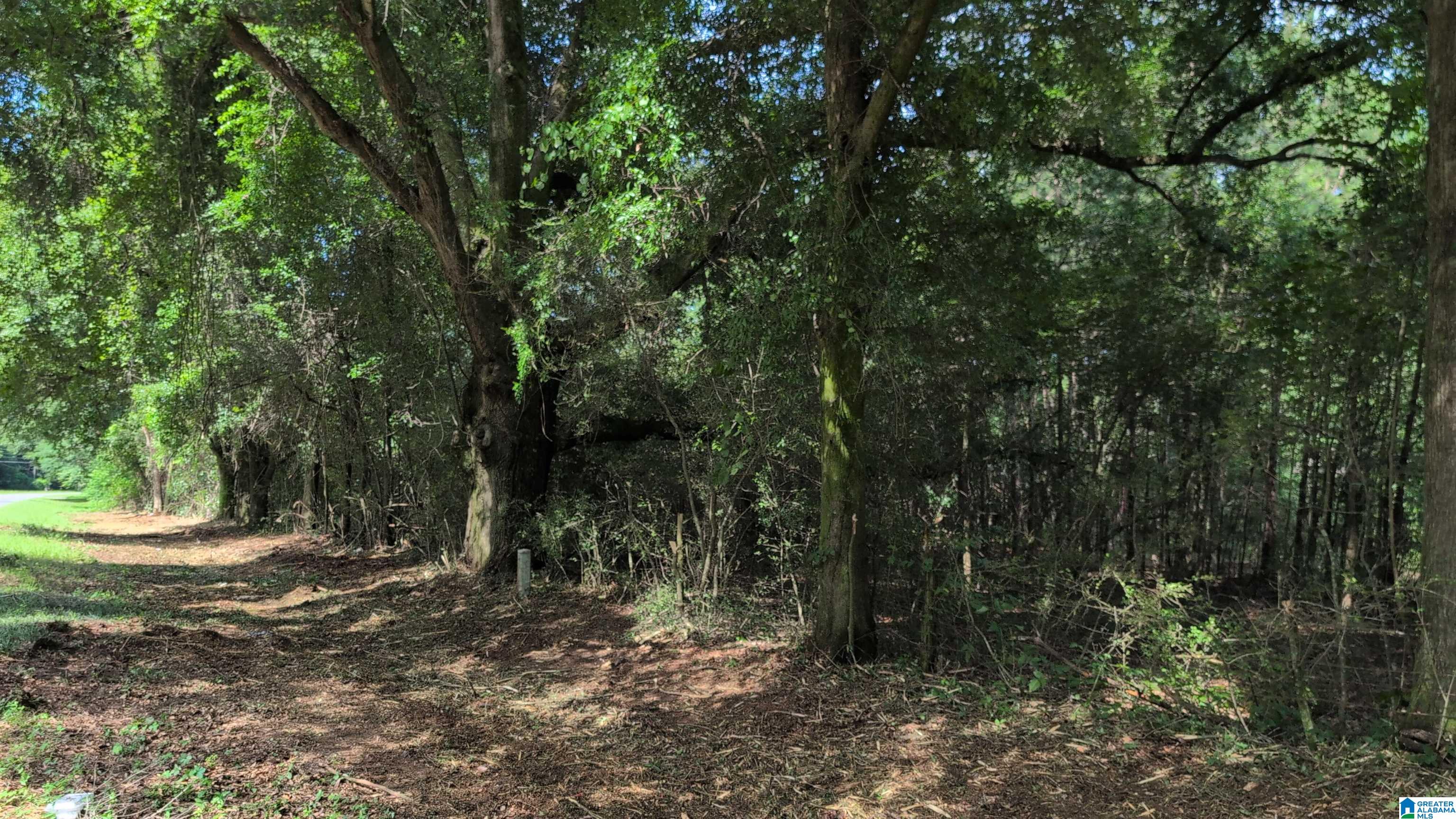 1 Ac /- Coosada Road, Unit 1 Millbrook, AL 36054 - Photo 3 of 11