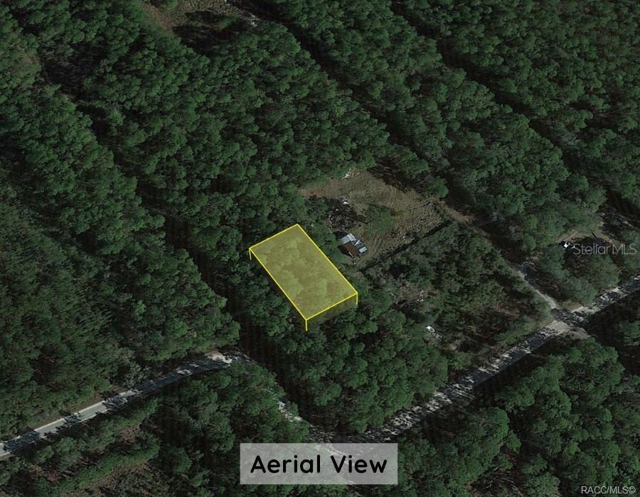 0 Northeast 65th Court Citra, FL 32113 - Photo 5 of 9