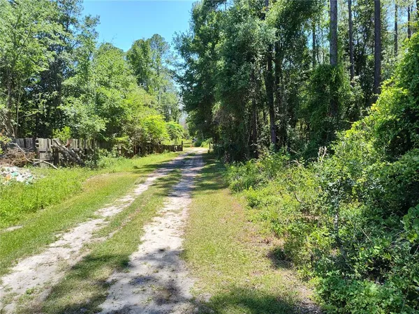 $11,250 | 0 Northeast 65th Court, Citra, FL 32113