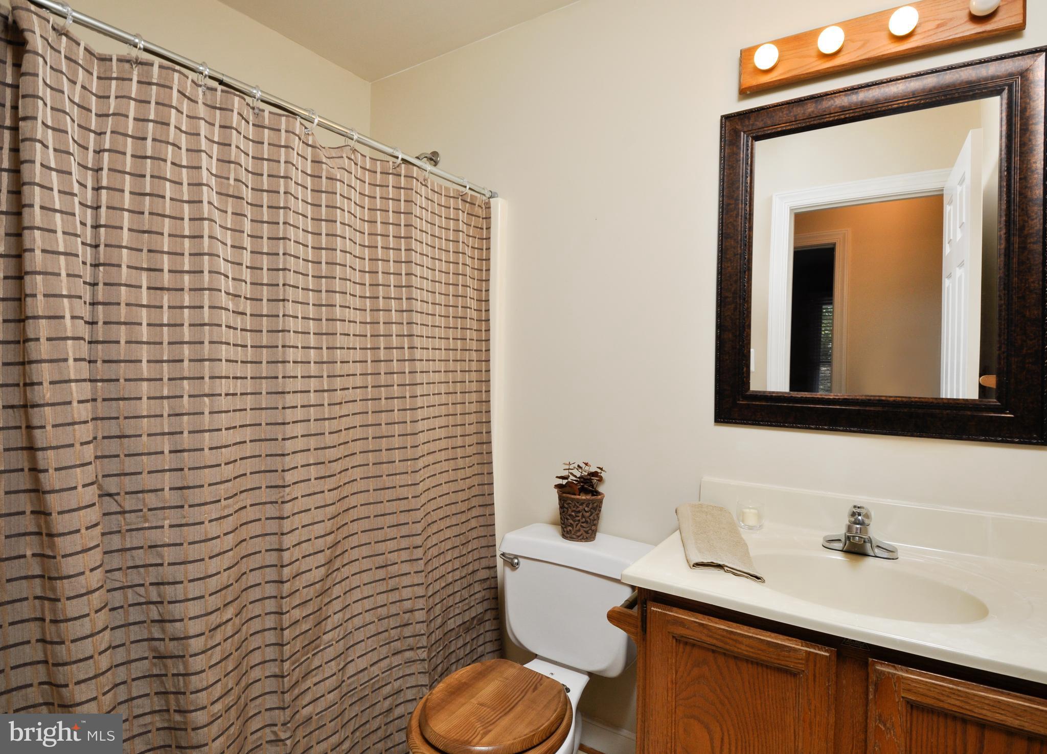 19020 Edwards Shop Road Elkwood, VA 22718 - Photo 16 of 30 Hall bathroom