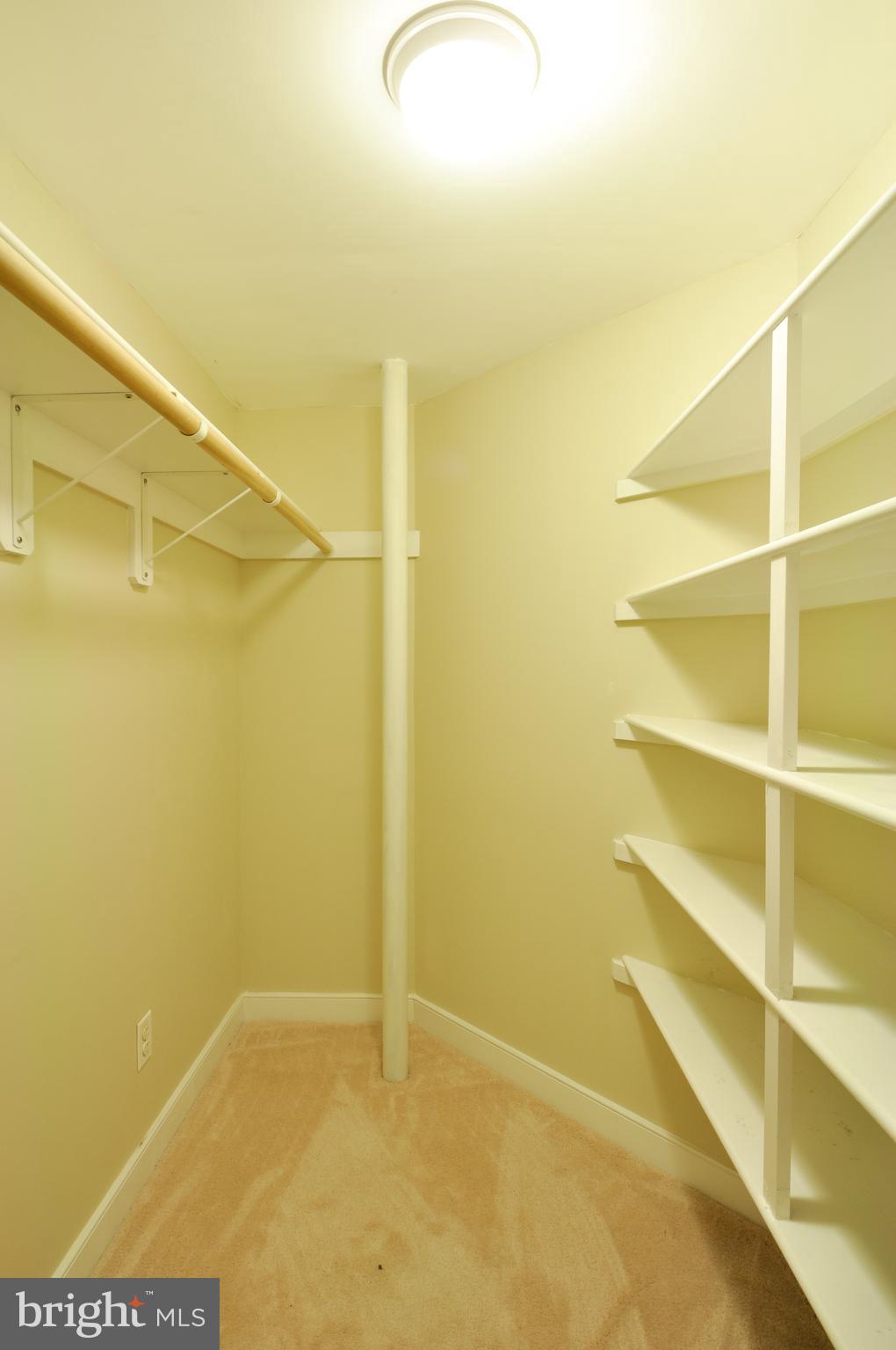 19020 Edwards Shop Road Elkwood, VA 22718 - Photo 23 of 30 Basement bedroom w/ walk-in closet
