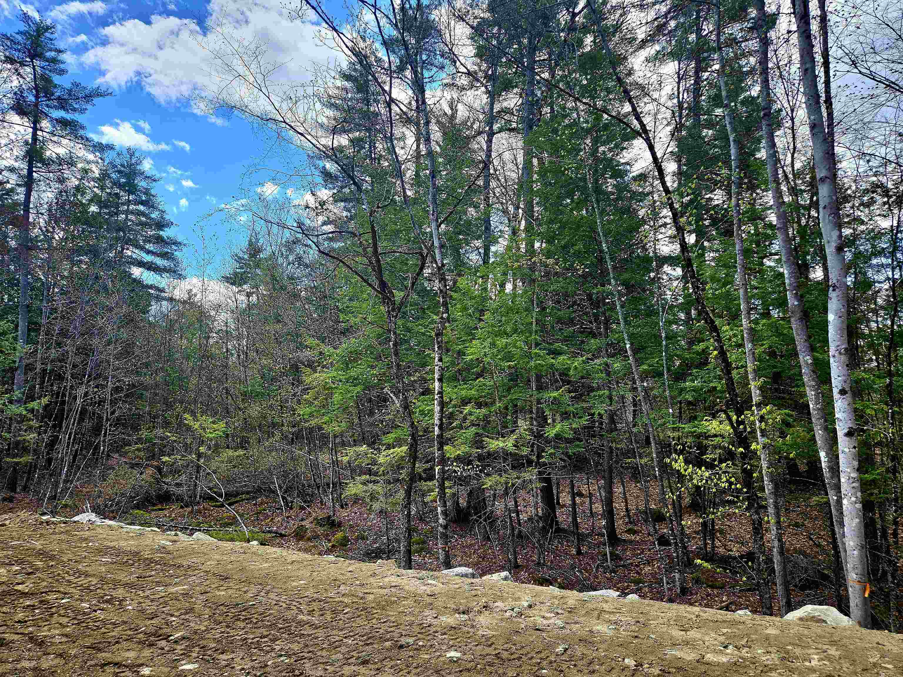 Lot 10 Bay Road, Unit 10 Farmington, NH 03835 - Photo 8 of 9 Gallery Image 8
