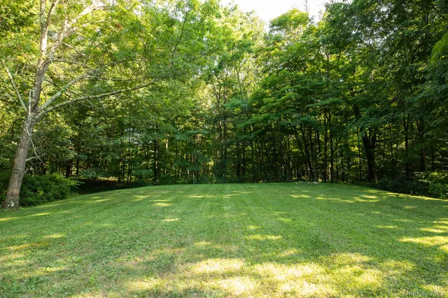 a plant that is sitting in a garden