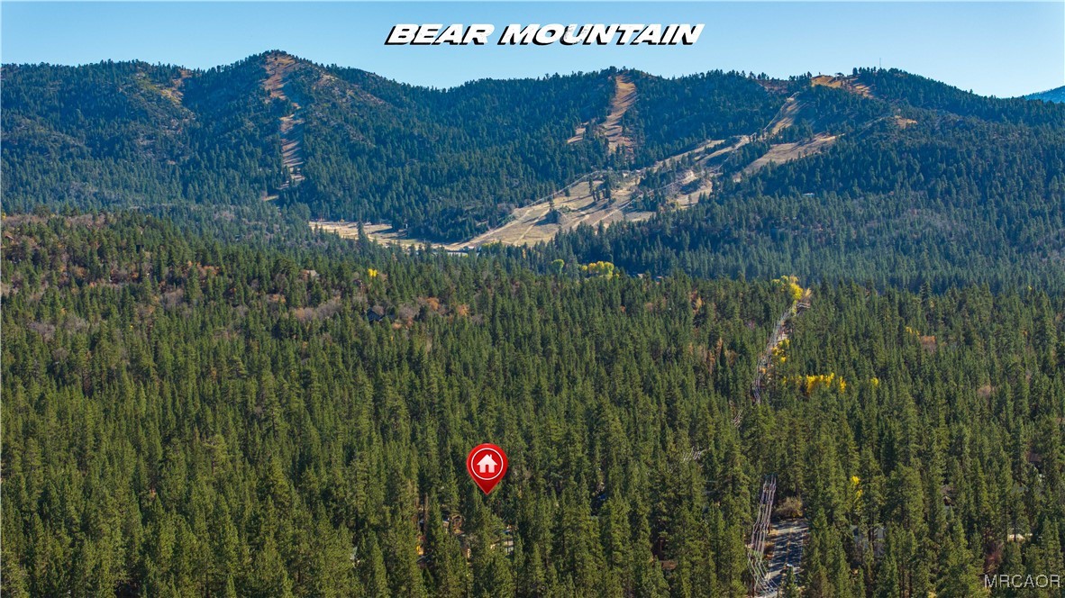 1126 Sugarpine Road Big Bear City, CA 92314 - Photo 40 of 40