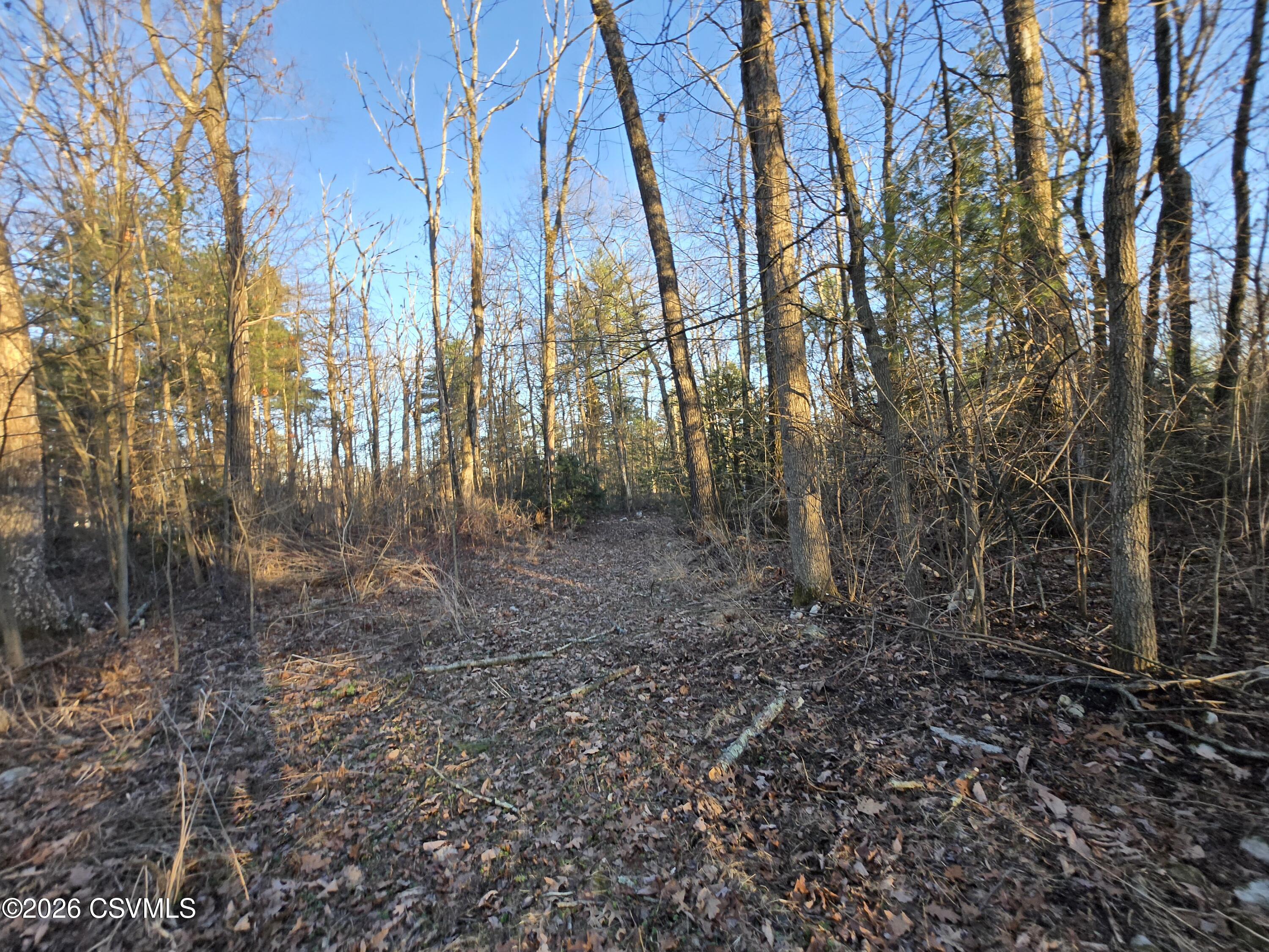 Lot 2 Diehl Road Mifflinburg, PA 17844 - Photo 4 of 9