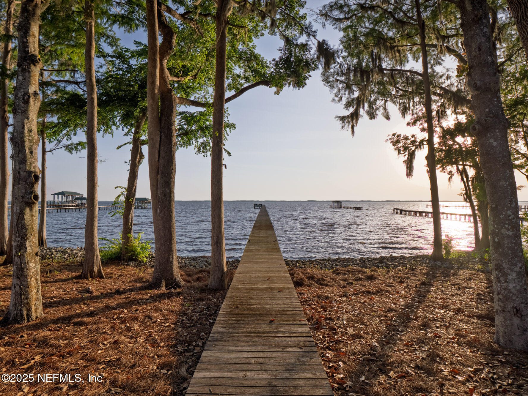 842 Fruit Cove Road St. Johns, FL 32259 - Photo 76 of 100 76