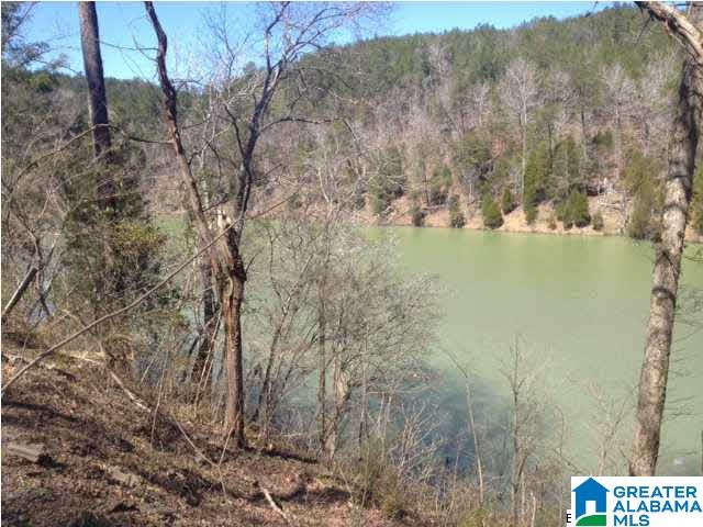 167 Big Shoals Road, Unit LOT 14 Adger, AL 35006 - Photo 2 of 12