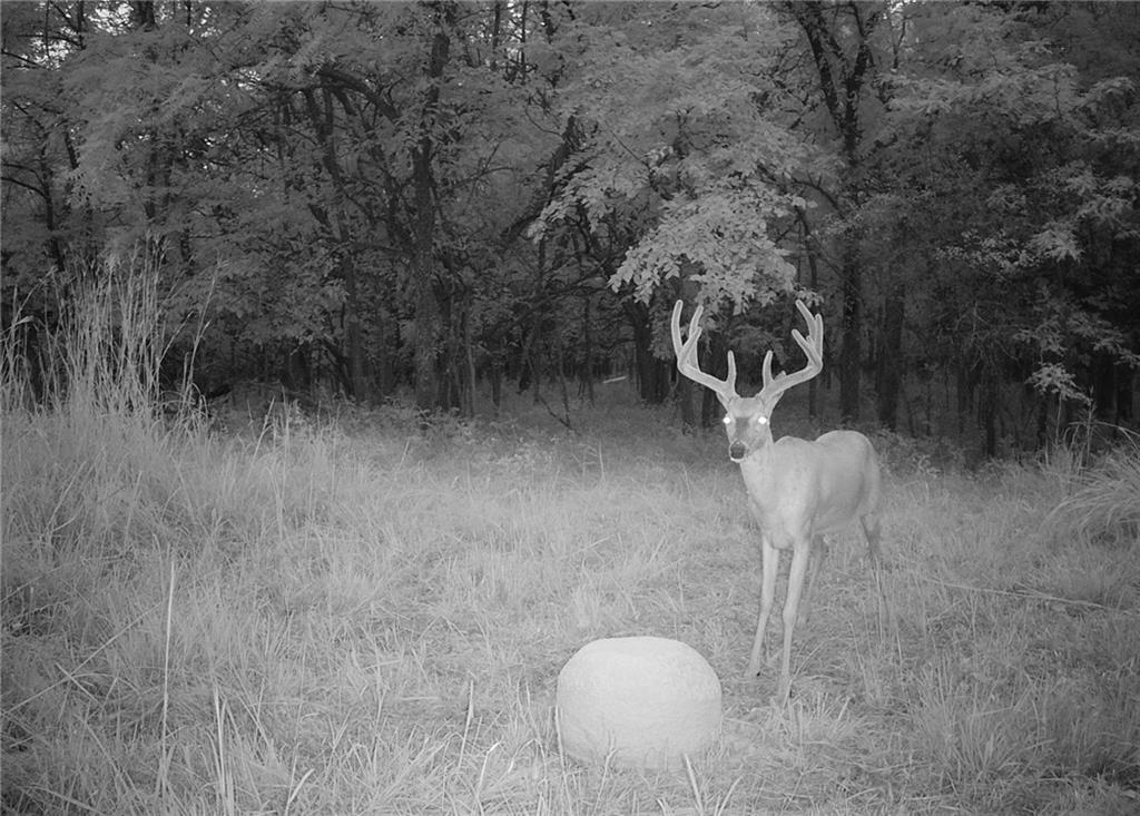 0 North 600th Road Overbrook, KS 66524 - Photo 6 of 46 Gallery Image 6