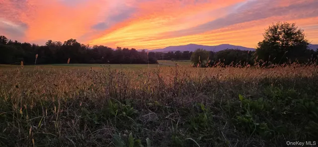 $189,000 | 9 Elizabeth Drive, Unit 29B, Tivoli, NY 12583