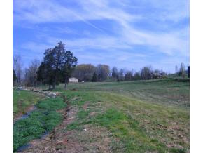 0 Stone Dam Road Afton, TN 37616 - Photo 1 of 3 Photo 1