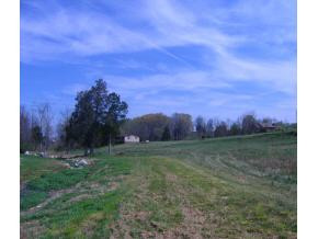 0 Stone Dam Road Afton, TN 37616 - Photo 2 of 3 Photo 2