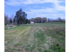0 Stone Dam Road Afton, TN 37616 - Photo 3 of 3 Photo 3