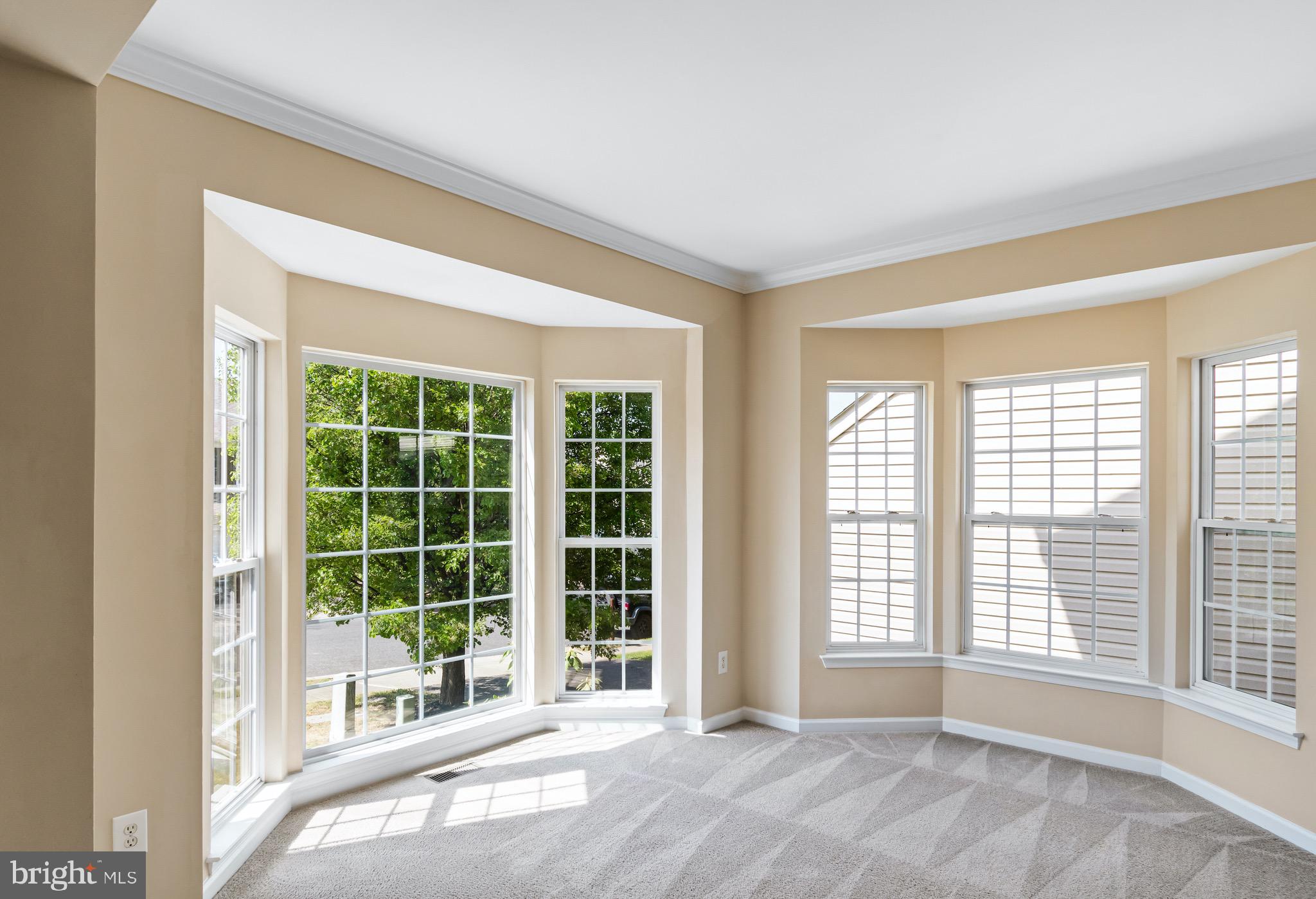 1004 Riverdale Circle Culpeper, VA 22701 - Photo 4 of 30