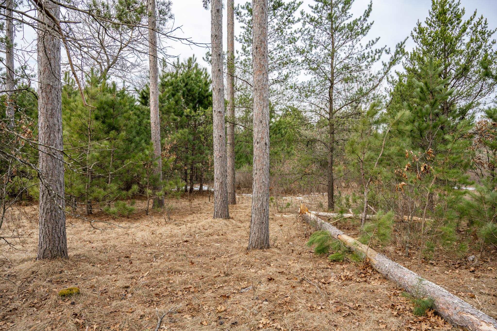 W5236 23rd Street Necedah, WI 54646 - Photo 30 of 51