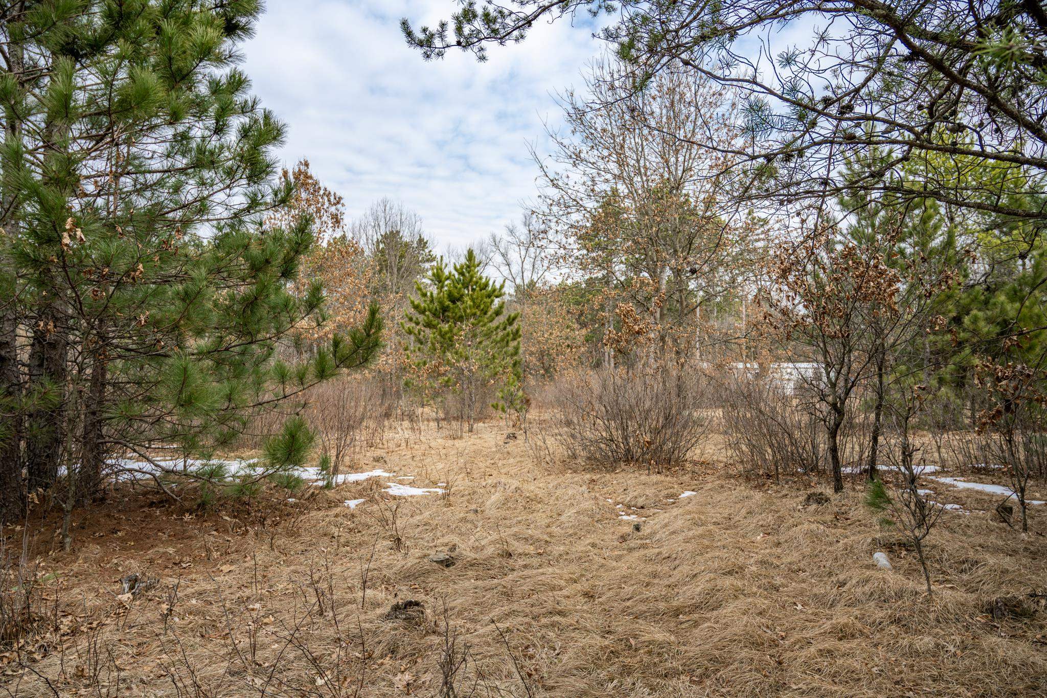 W5236 23rd Street Necedah, WI 54646 - Photo 31 of 51