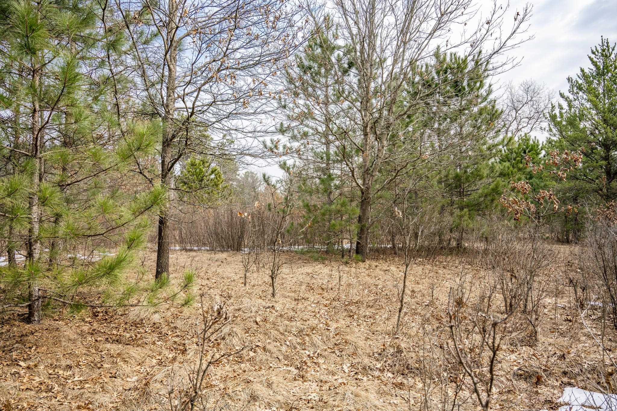 W5236 23rd Street Necedah, WI 54646 - Photo 34 of 51