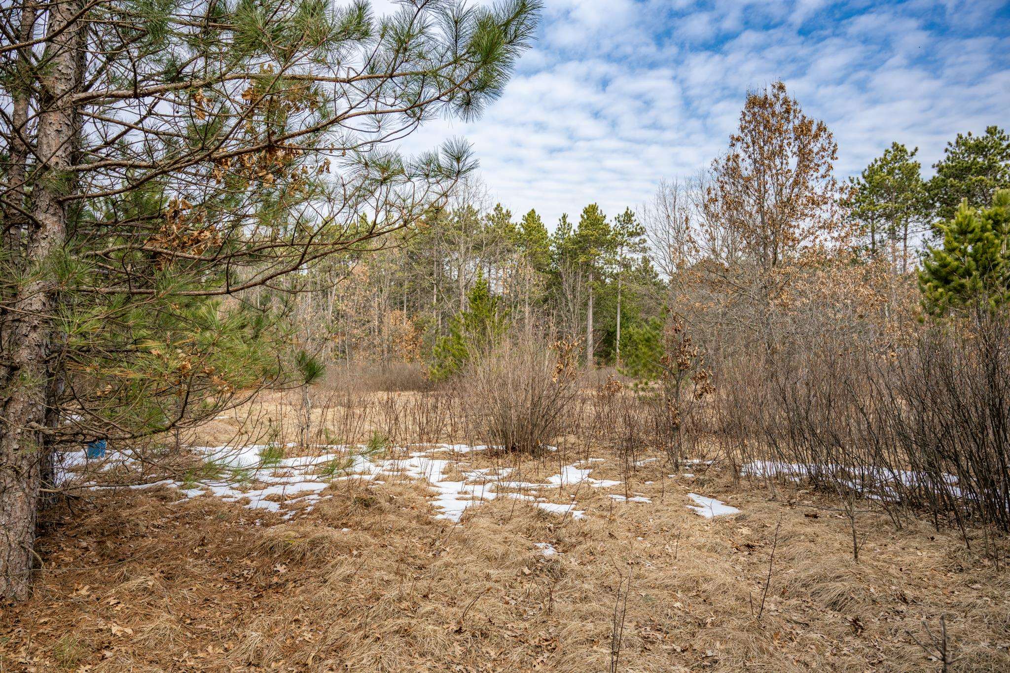 W5236 23rd Street Necedah, WI 54646 - Photo 35 of 51