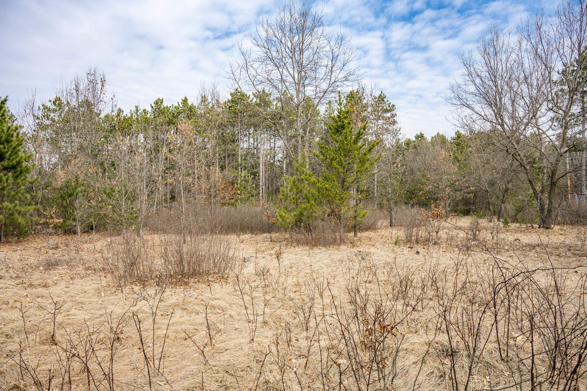 W5236 23rd Street Necedah, WI 54646 - Photo 37 of 51