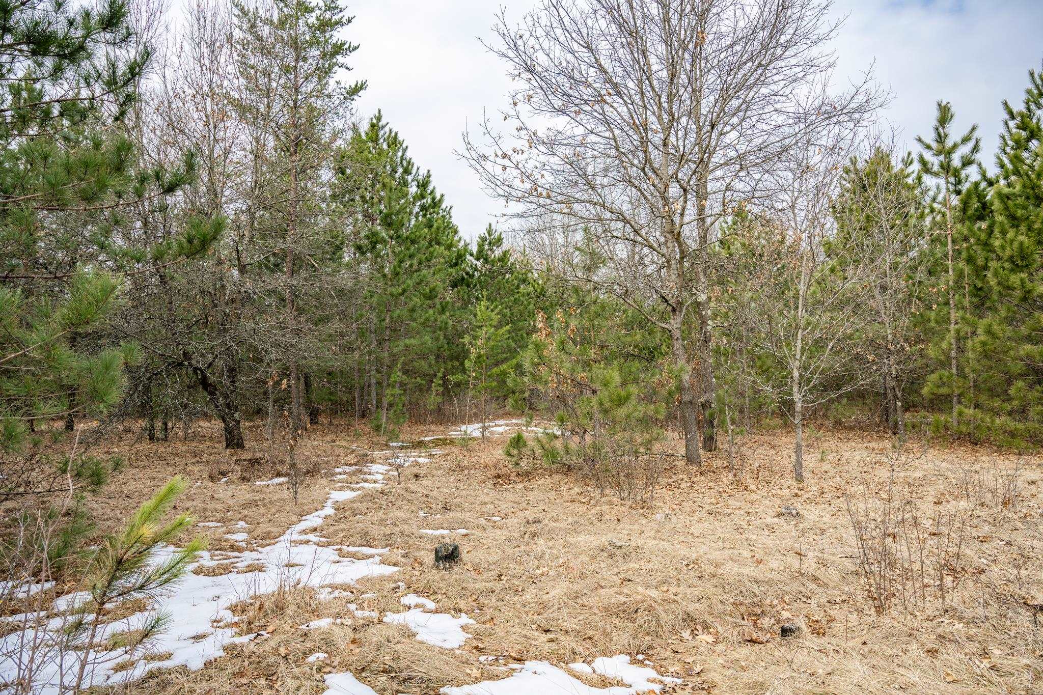 W5236 23rd Street Necedah, WI 54646 - Photo 38 of 51