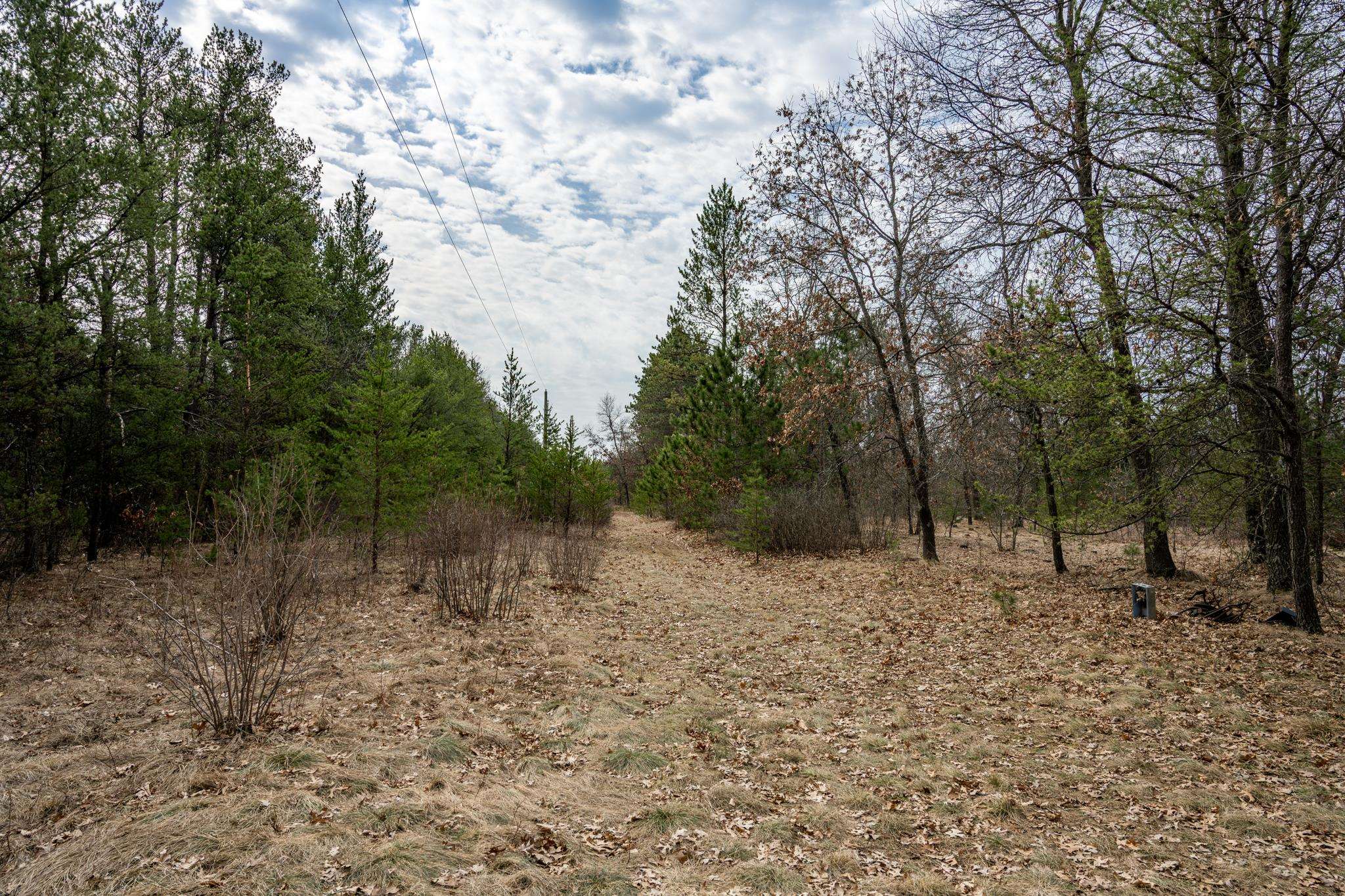 W5236 23rd Street Necedah, WI 54646 - Photo 46 of 51