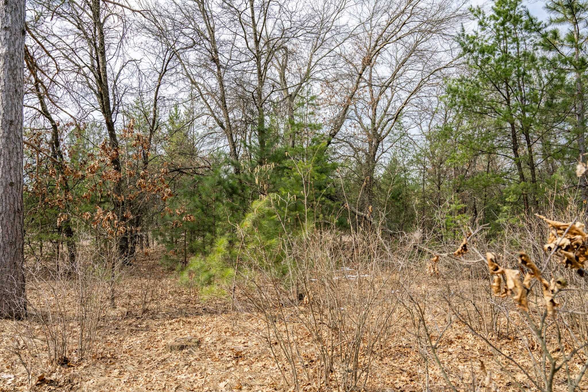 W5236 23rd Street Necedah, WI 54646 - Photo 49 of 51