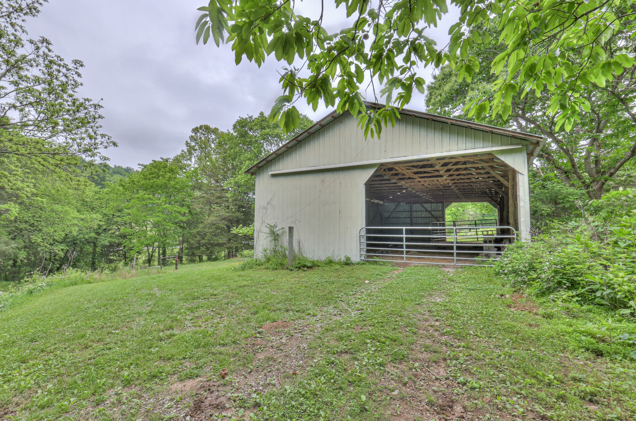1271 Bivins Road Lewisburg, TN 37091 - Photo 56 of 56 a backyard of a house with plants and large trees