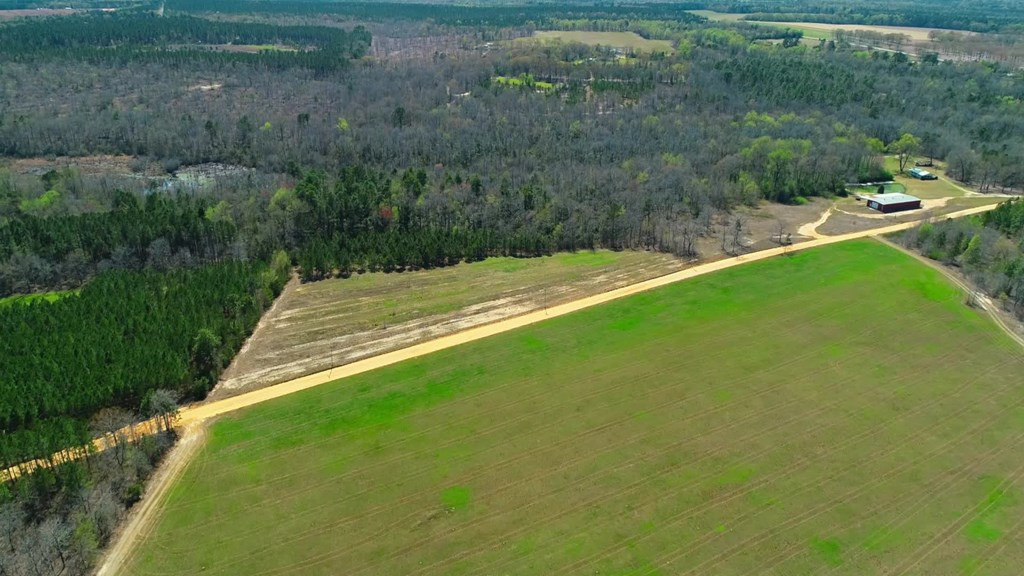 509 Shadow Lane Road Wagener, SC 29164 - Photo 6 of 9