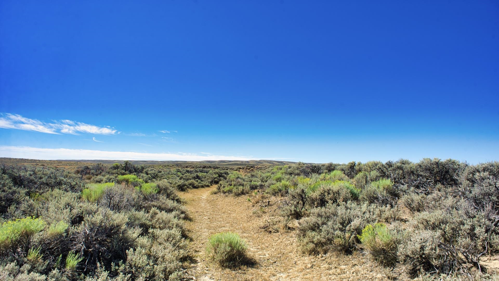 2303 Blm Road Rawlins, WY 82301 - Photo 1 of 49
