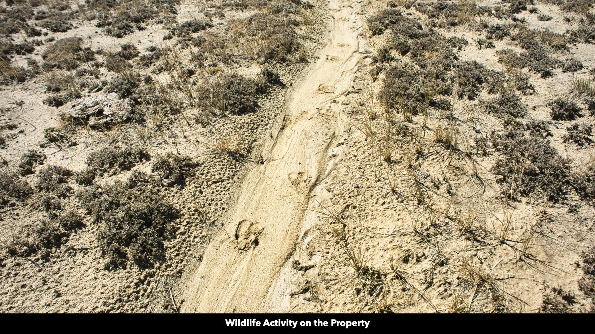 2303 Blm Road Rawlins, WY 82301 - Photo 16 of 49