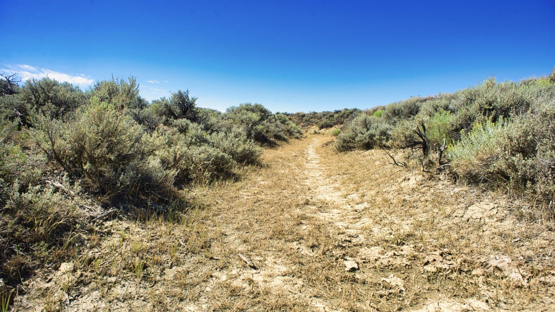 2303 Blm Road Rawlins, WY 82301 - Photo 43 of 49