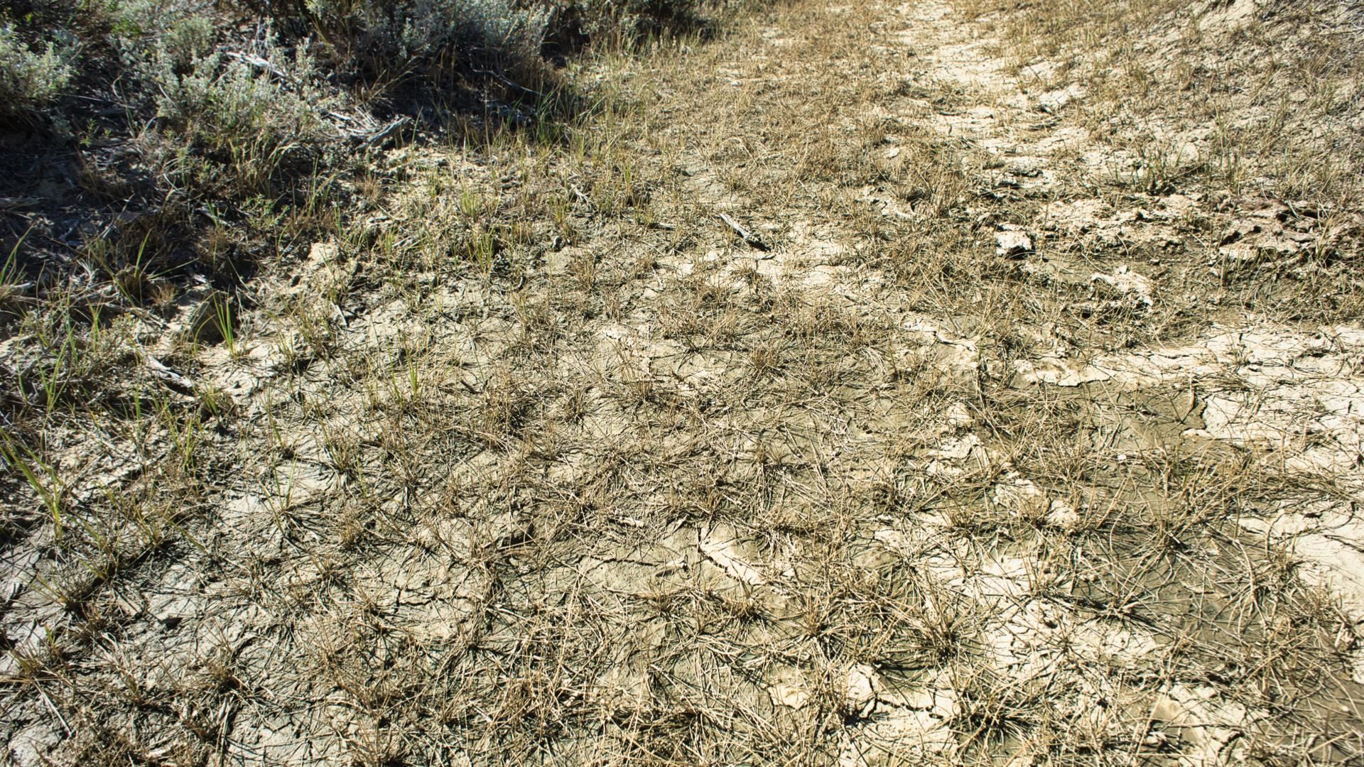 2303 Blm Road Rawlins, WY 82301 - Photo 44 of 49