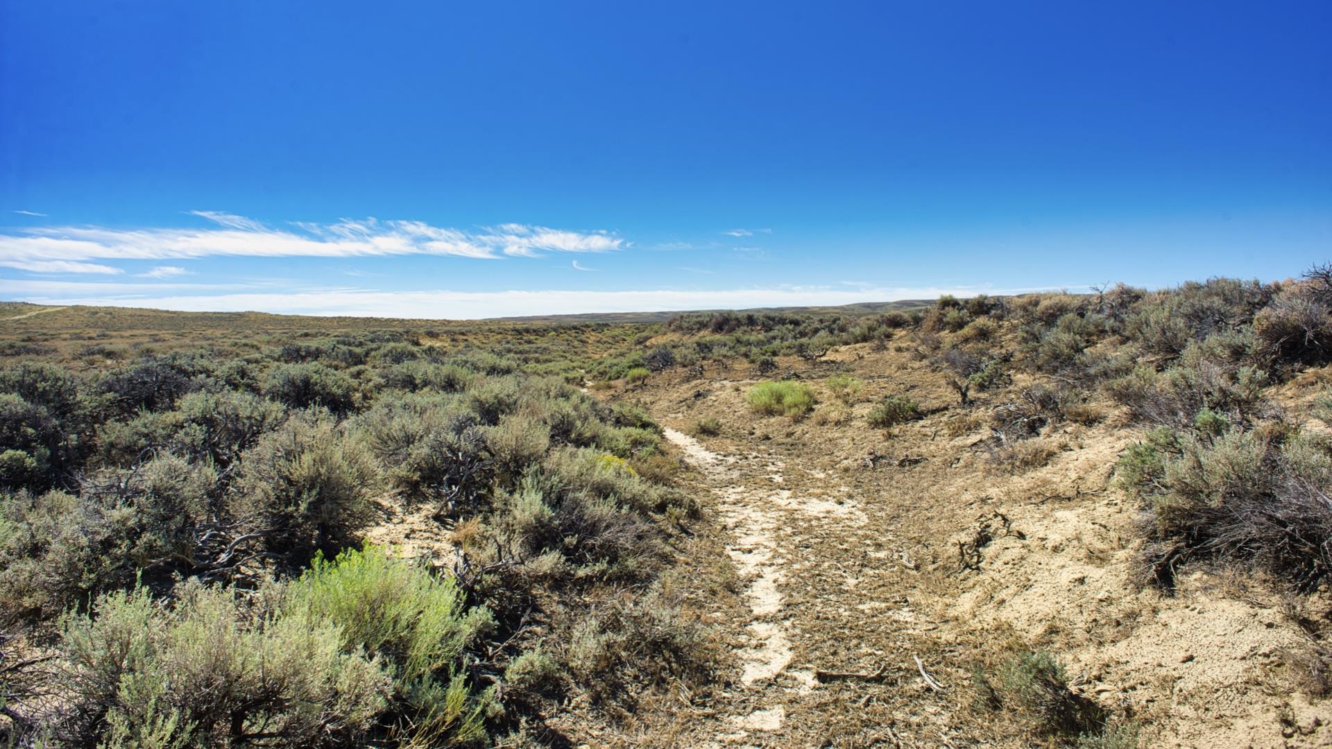 2303 Blm Road Rawlins, WY 82301 - Photo 45 of 49