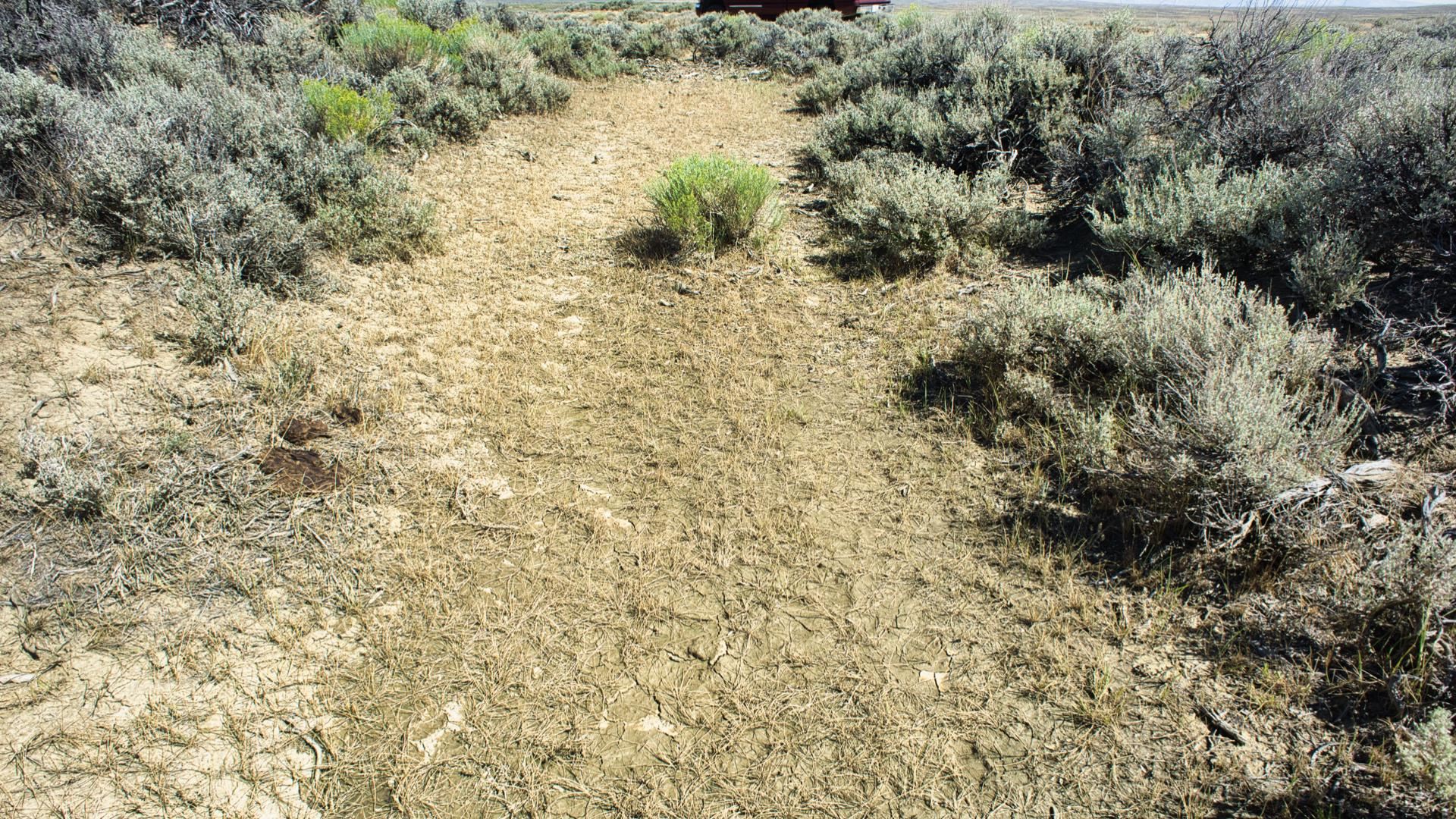 2303 Blm Road Rawlins, WY 82301 - Photo 46 of 49